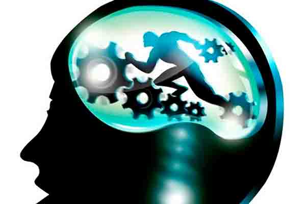 entrenamiento consciente