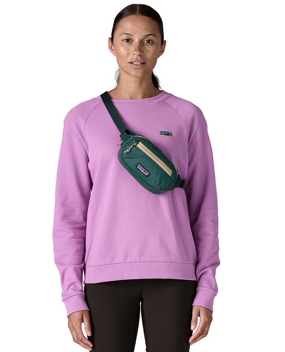 PATAGONIA RIÑONERA PATAGONIA TERRAVIA MINI HIP PACK 1L