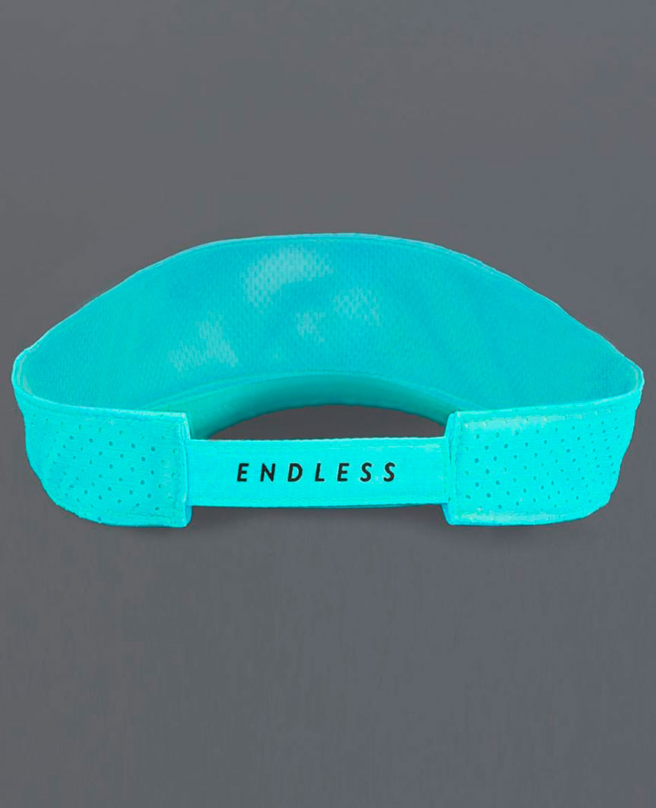 ENDLESS VISERA ENDLESS INCON