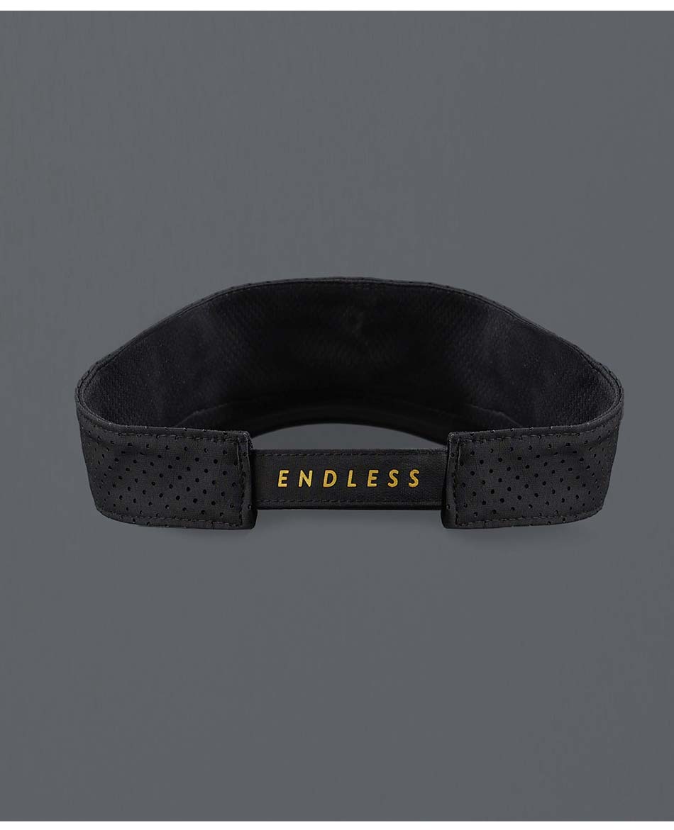 ENDLESS VISERA ENDLESS INCON