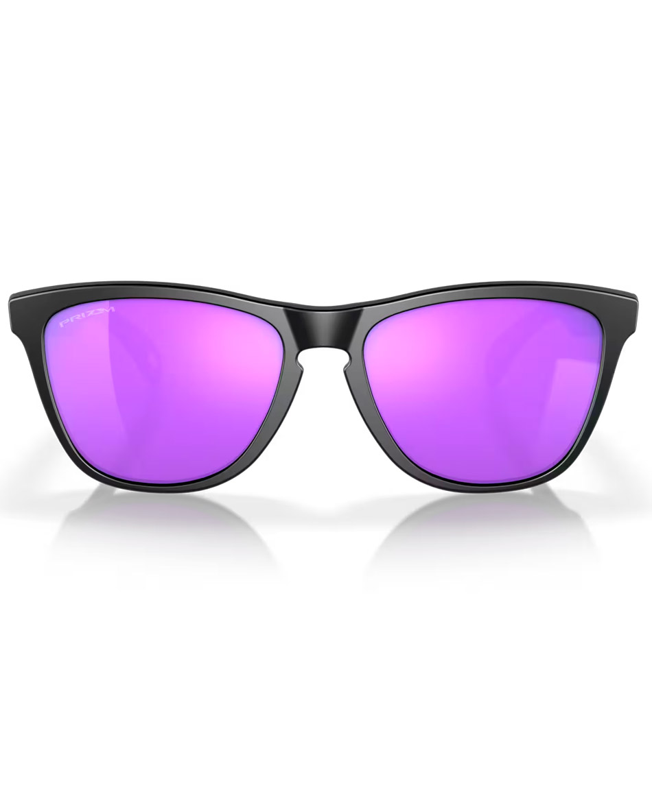 OAKLEY GAFAS OAKLEY FROGSKINS C3