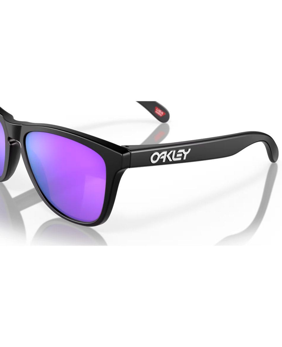 OAKLEY GAFAS OAKLEY FROGSKINS C3