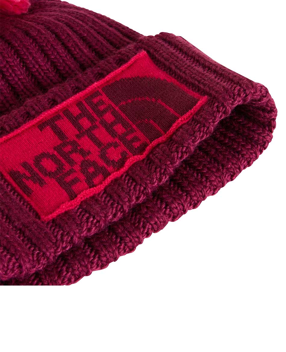 NORTH FACE GORRO NORTH FACE HERITAGE SKI TUKE