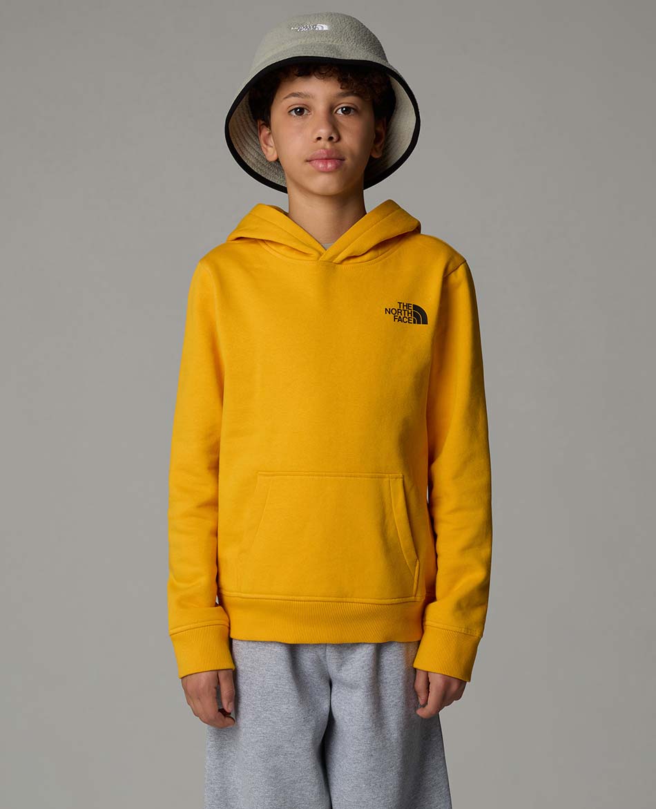 NORTH FACE SUDADERA CON CAPUCHA NORTH FACE REDBOX JUNIOR