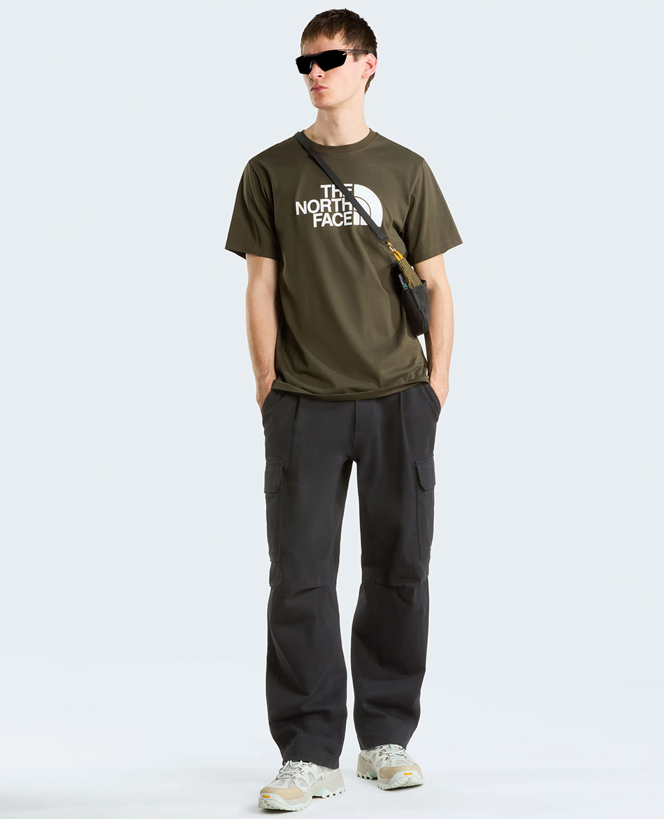 NORTH FACE CAMISETA NORTH FACE M EVOLUTION HALF DOME REG