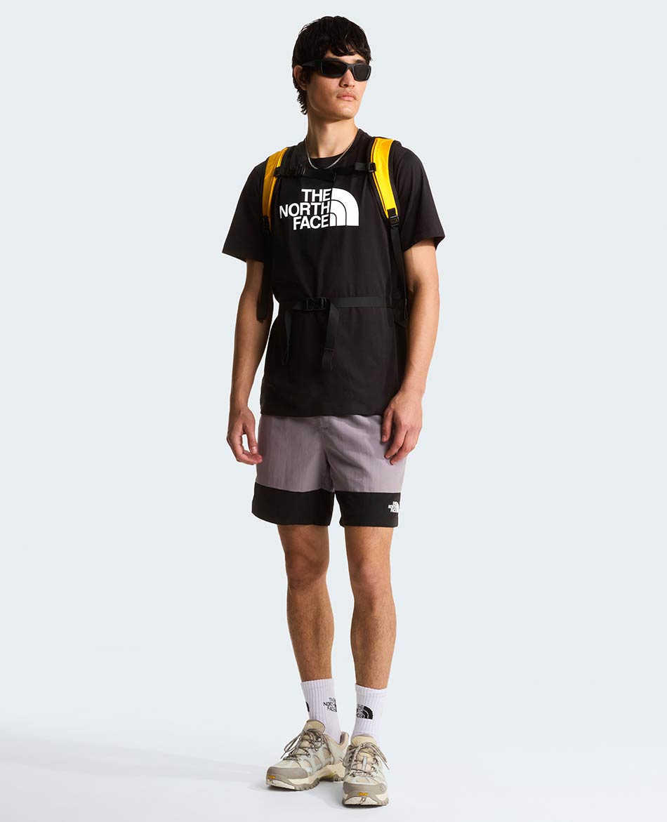 NORTH FACE CAMISETA NORTH FACE M EVOLUTION HALF DOME REG