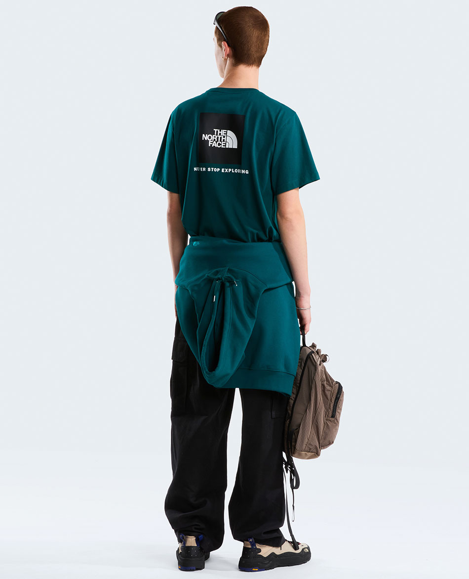 NORTH FACE CAMISETA  NORTH FACE M EVOLUTION BOX NSE REG