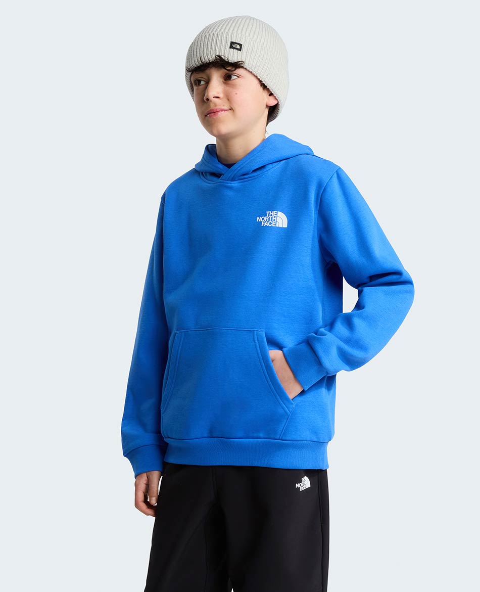 NORTH FACE FELPA NORTH FACE EVOLUTION BOX NSE HOOD
