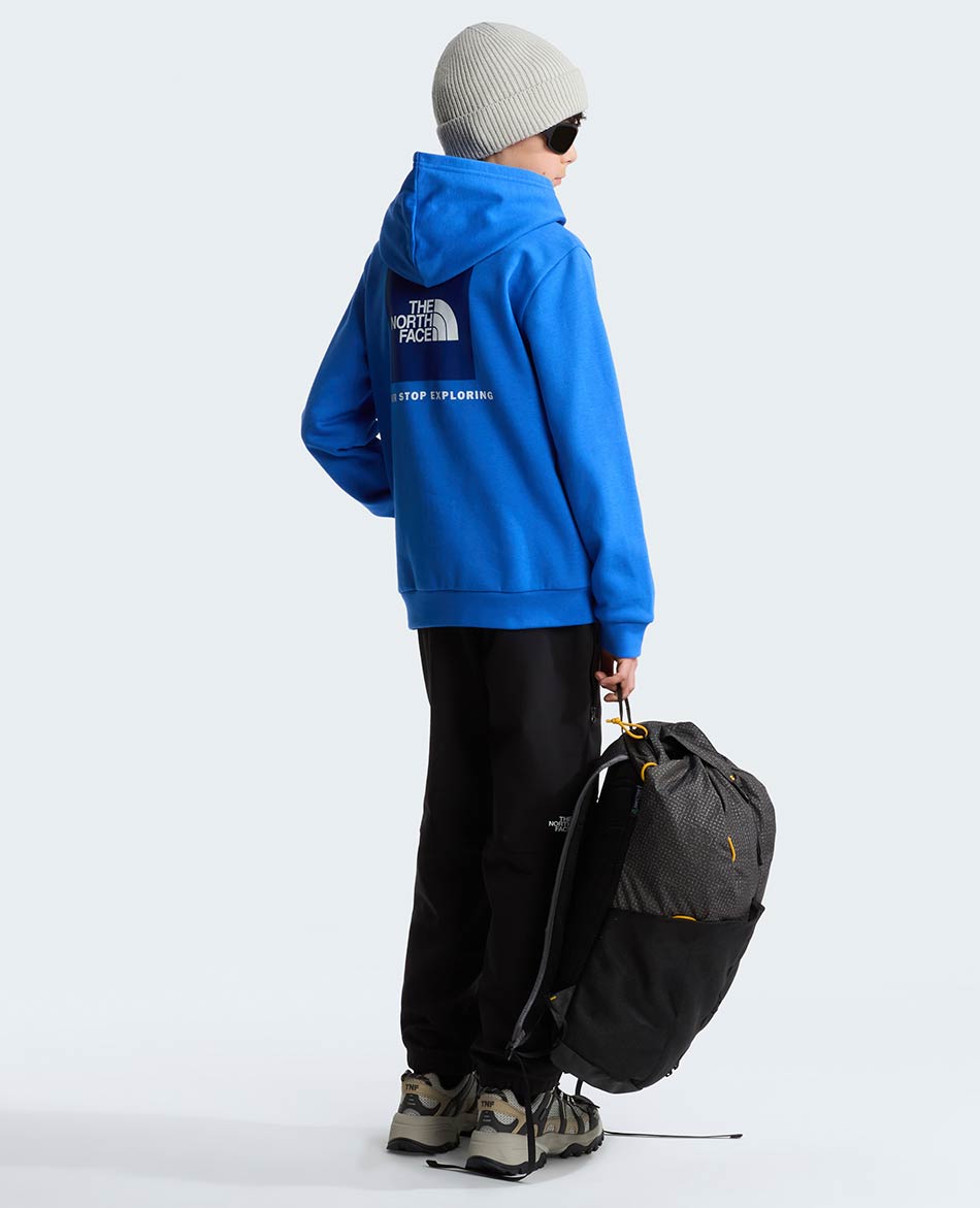 NORTH FACE FELPA NORTH FACE EVOLUTION BOX NSE HOOD