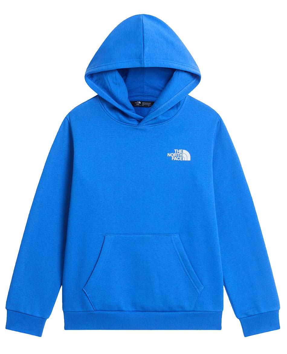 NORTH FACE FELPA NORTH FACE EVOLUTION BOX NSE HOOD