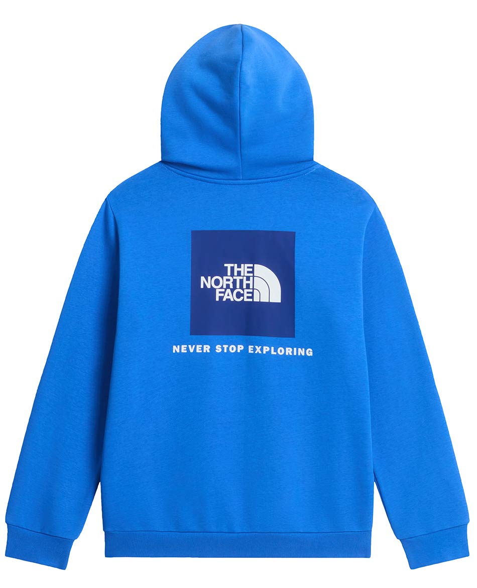 NORTH FACE FELPA NORTH FACE EVOLUTION BOX NSE HOOD
