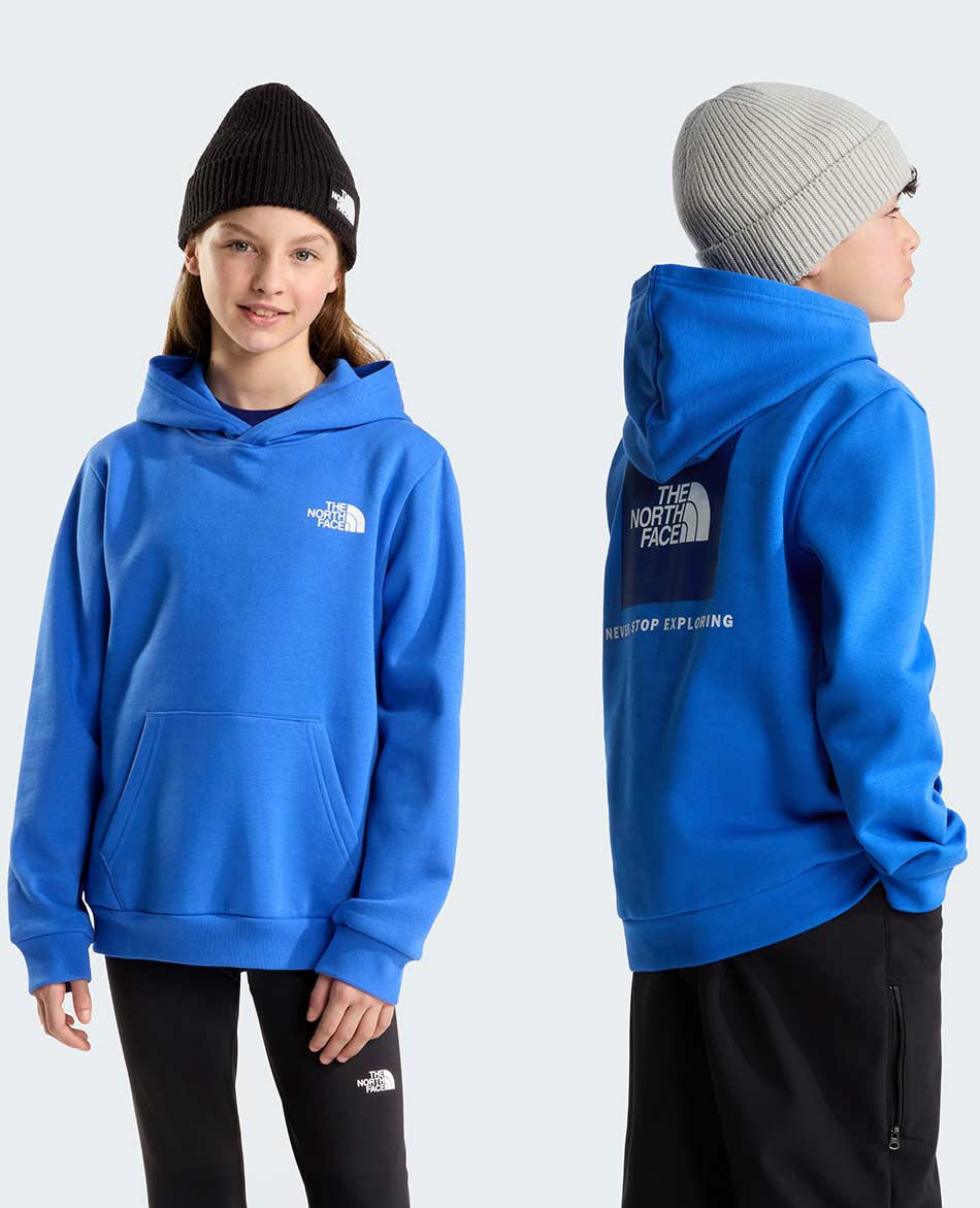 NORTH FACE FELPA NORTH FACE EVOLUTION BOX NSE HOOD