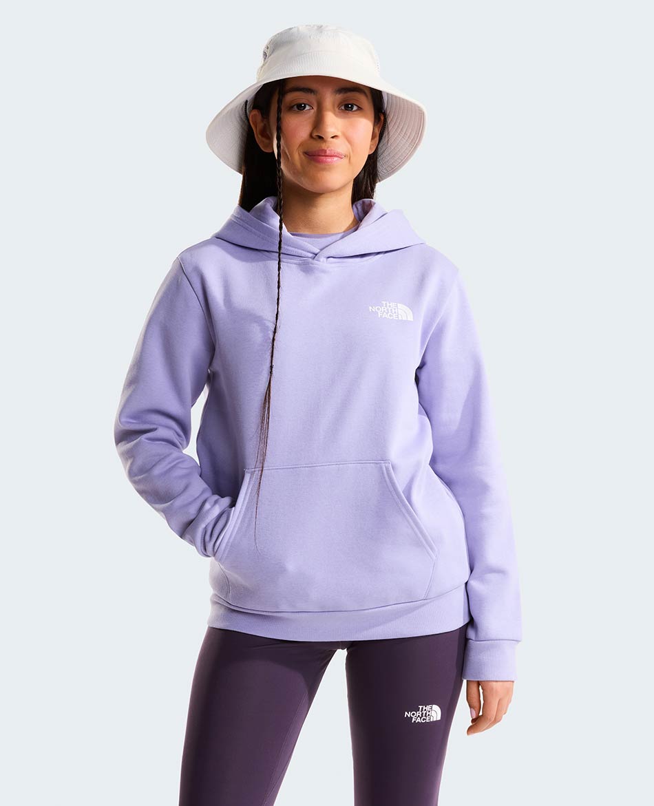 NORTH FACE FELPA NORTH FACE EVOLUTION BOX NSE HOOD