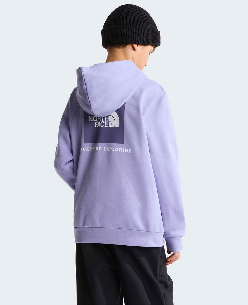 NORTH FACE FELPA NORTH FACE EVOLUTION BOX NSE HOOD