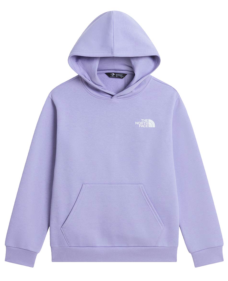 NORTH FACE FELPA NORTH FACE EVOLUTION BOX NSE HOOD