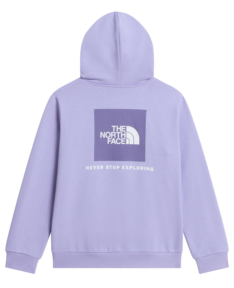 NORTH FACE FELPA NORTH FACE EVOLUTION BOX NSE HOOD