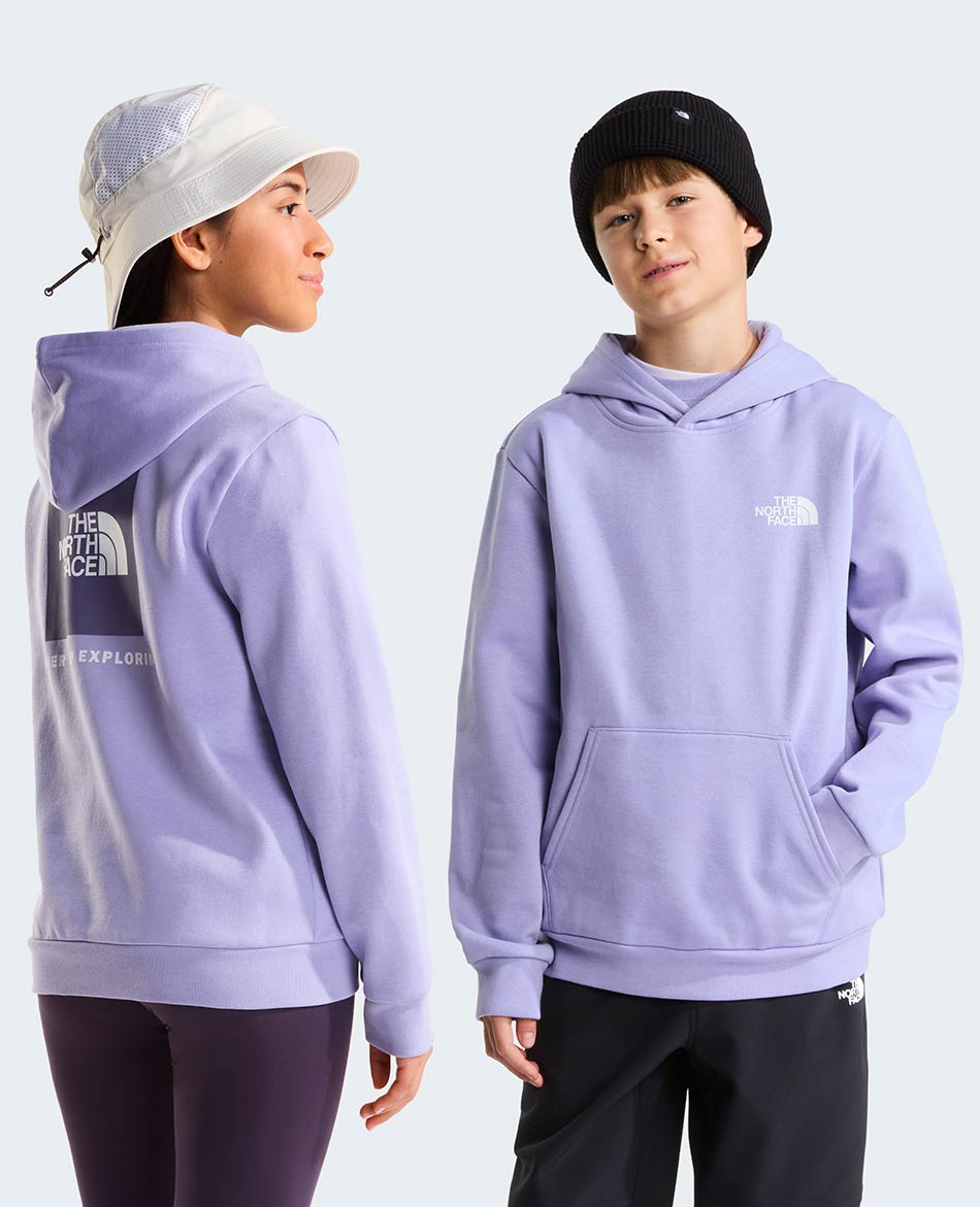 NORTH FACE FELPA NORTH FACE EVOLUTION BOX NSE HOOD