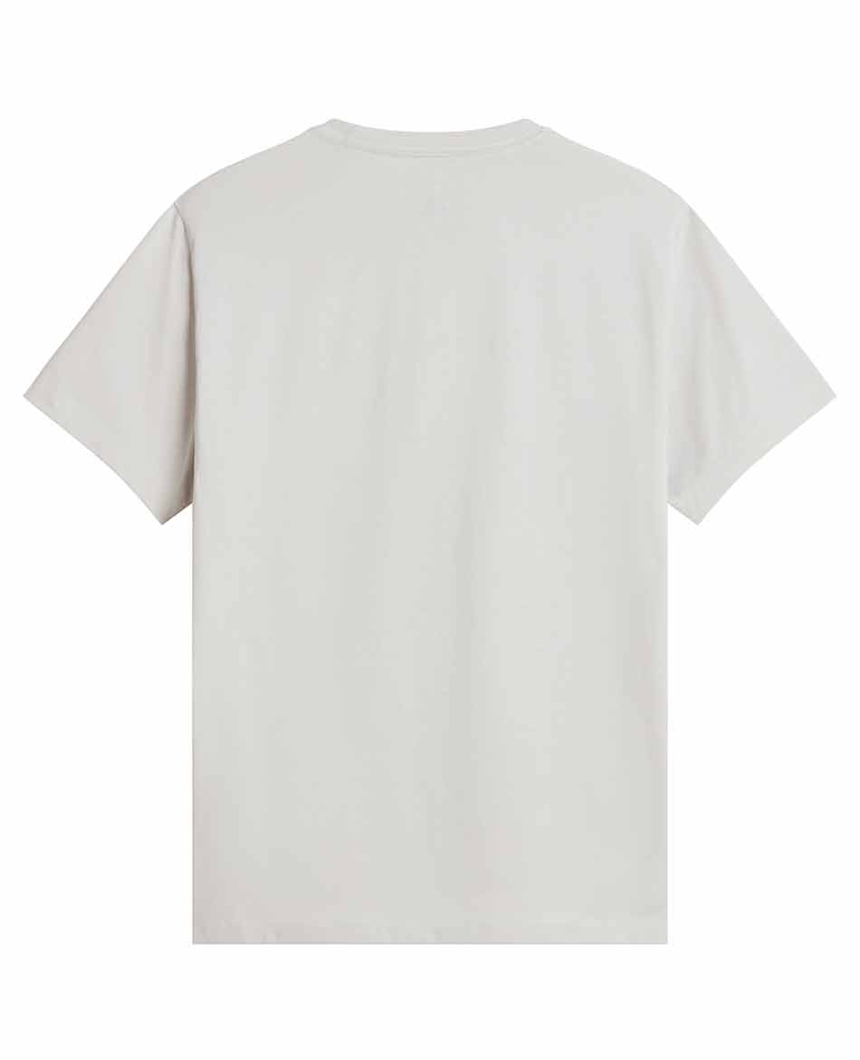 NORTH FACE CAMISETA.NORTH FACE EVOLUTION SIMPLE DOME REG