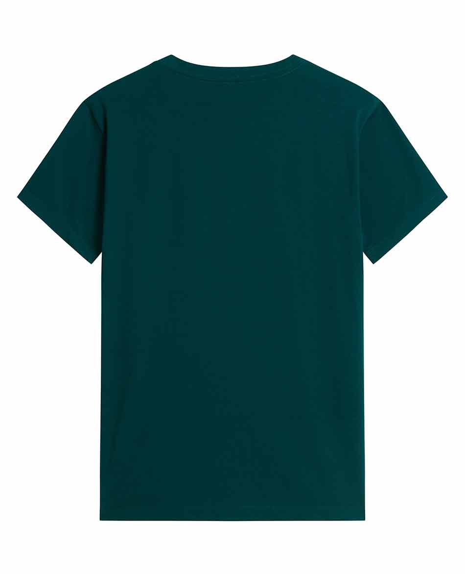 NORTH FACE CAMISETA.NORTH FACE EVOLUTION SIMPLE DOME REG
