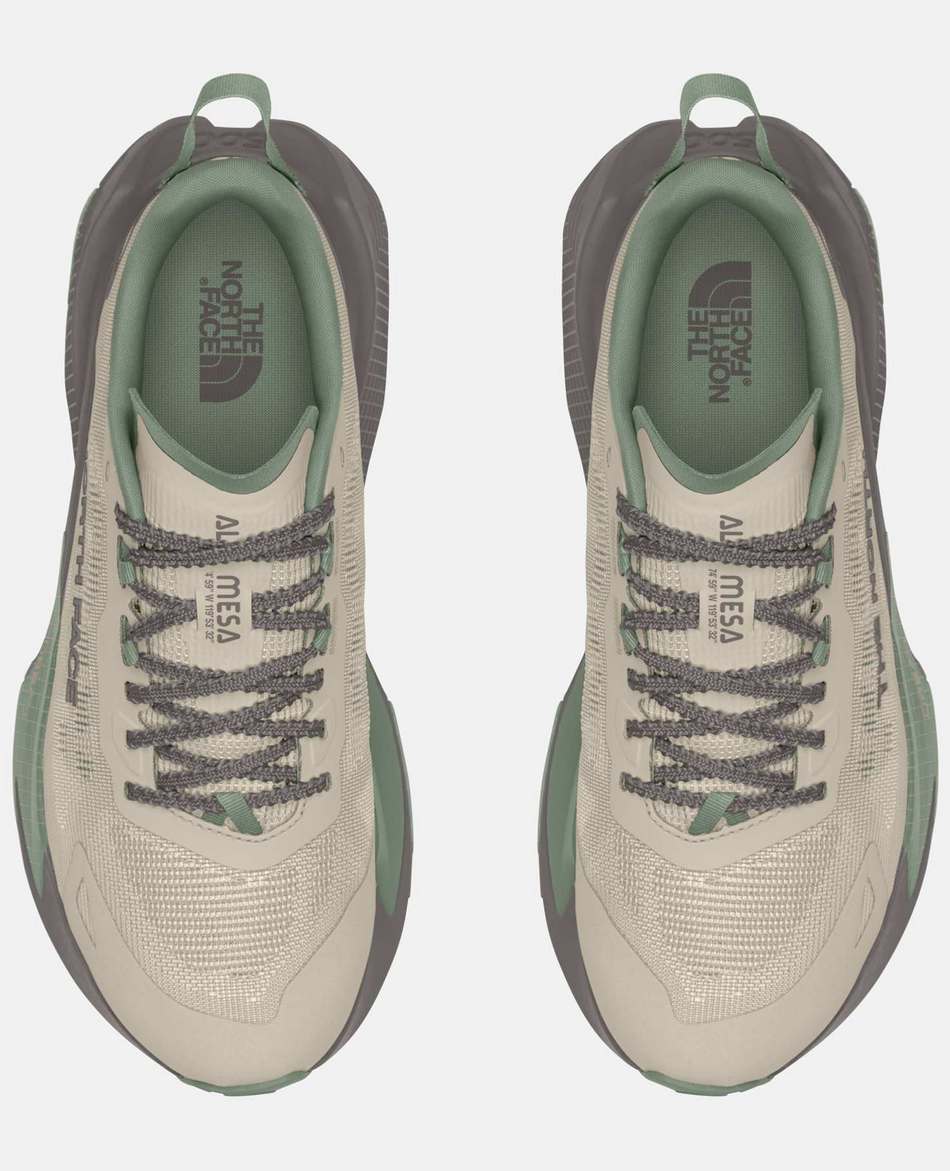 NORTH FACE ZAPATILLAS NORTH FACE ALTAMESA 500 V2