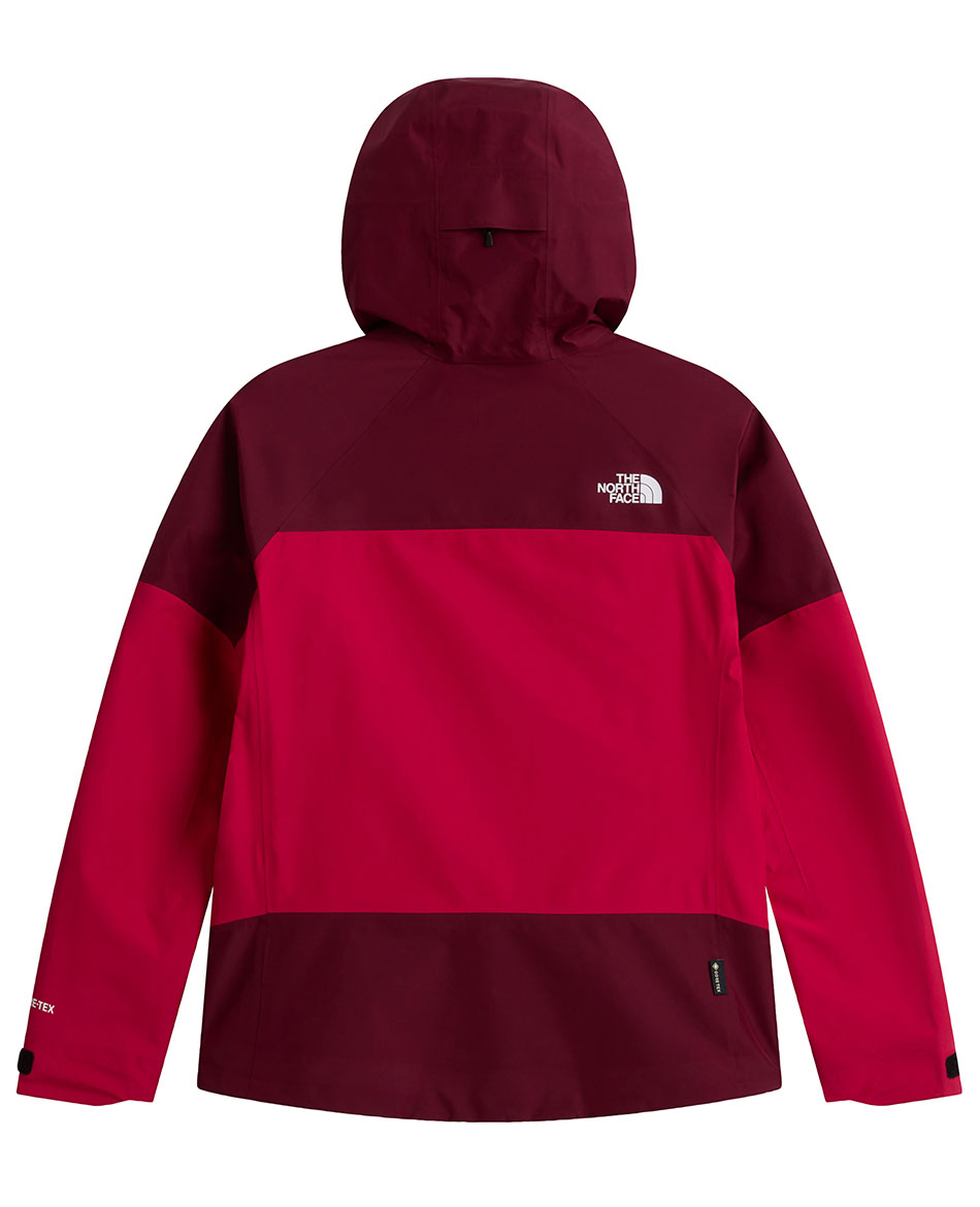 NORTH FACE SHELL NORTH FACE GTX JAZZI