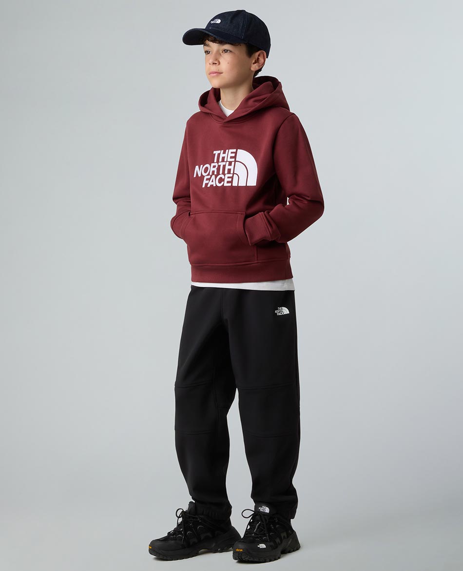 NORTH FACE FELPA N FACE DREW PEAK PULLOVER HOODIE