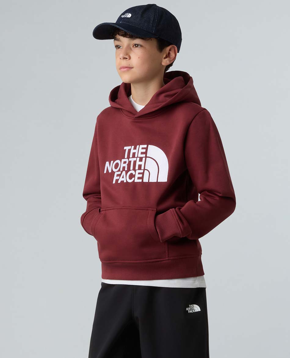 NORTH FACE FELPA N FACE DREW PEAK PULLOVER HOODIE