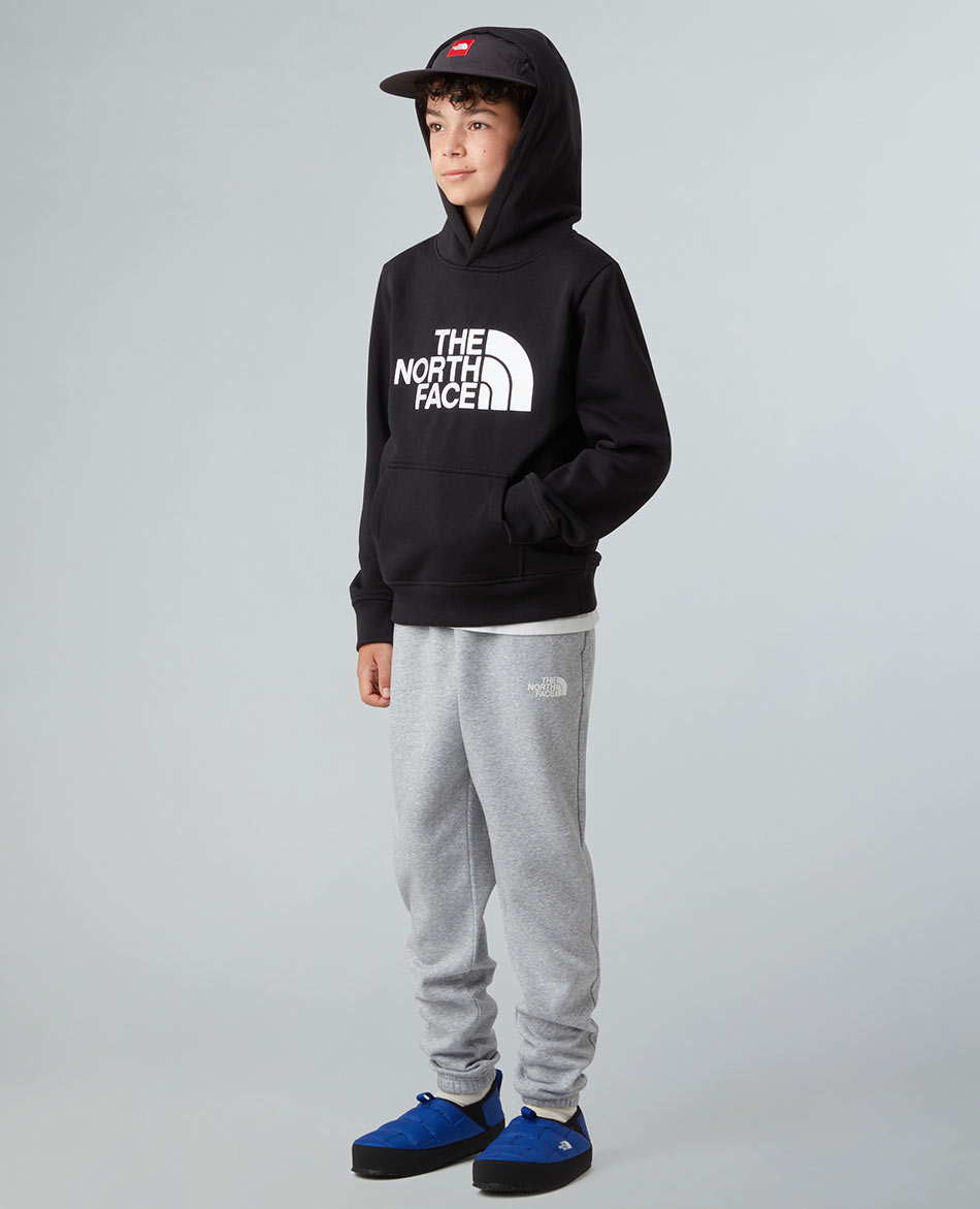 NORTH FACE FELPA N FACE DREW PEAK PULLOVER HOODIE