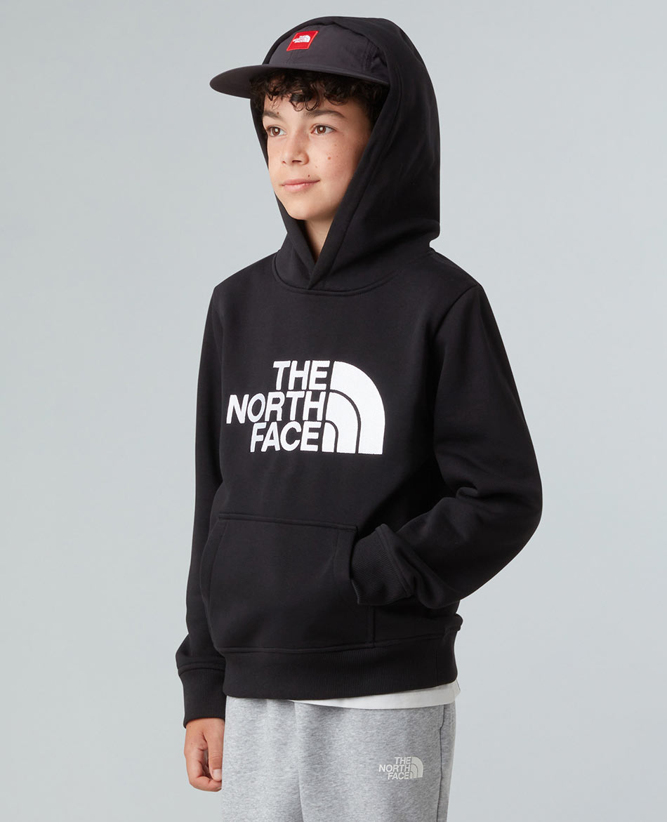 NORTH FACE FELPA N FACE DREW PEAK PULLOVER HOODIE