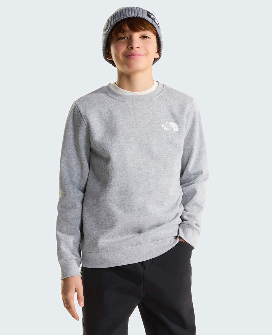 NORTH FACE FELPA NORTH FACE EVOLUTION BOX NSE CREW