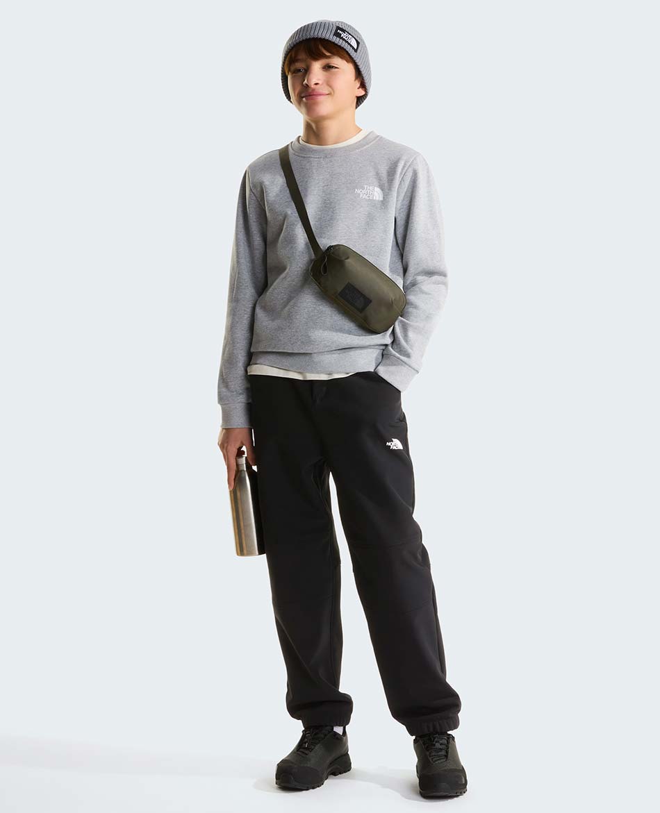 NORTH FACE FELPA NORTH FACE EVOLUTION BOX NSE CREW
