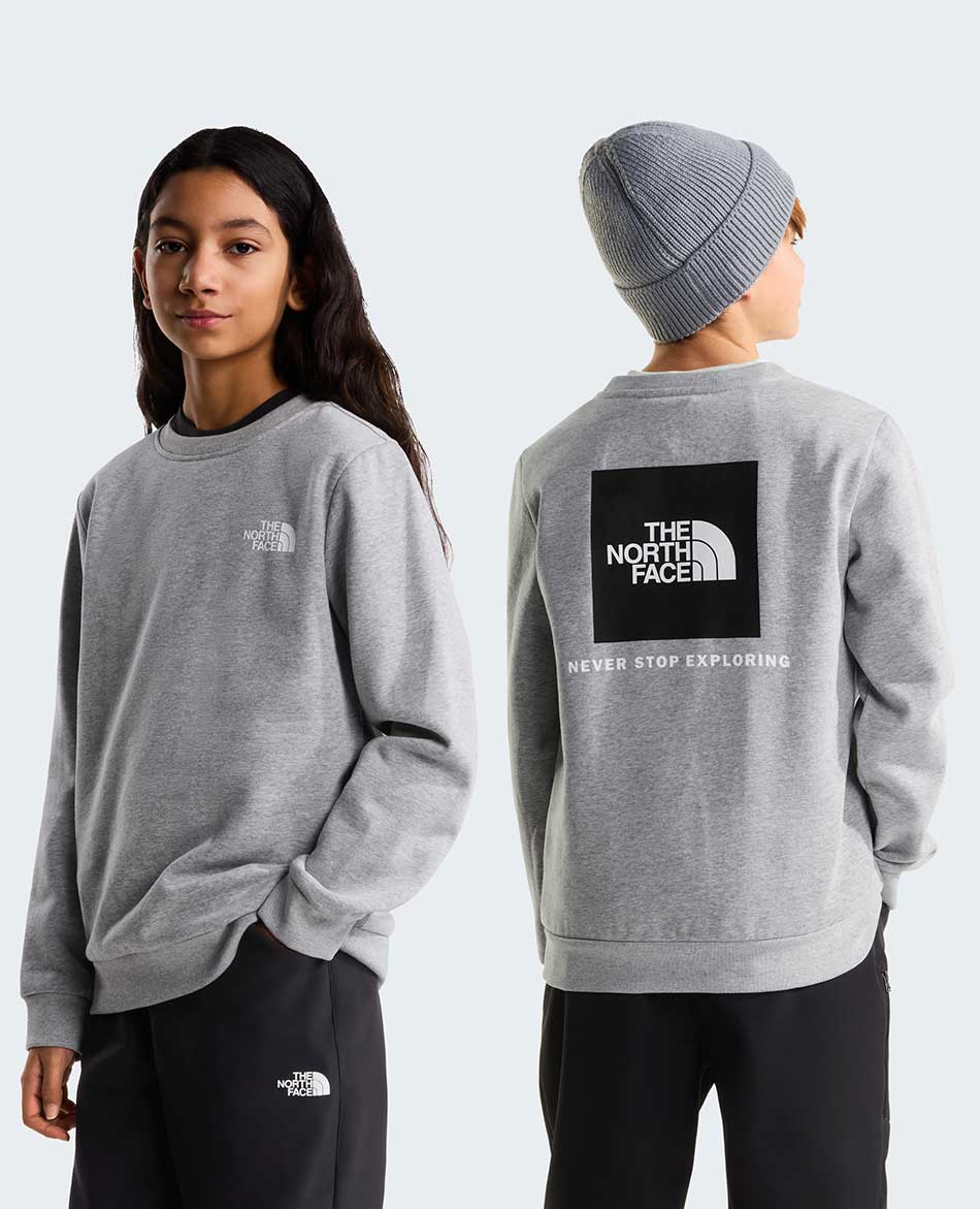 NORTH FACE FELPA NORTH FACE EVOLUTION BOX NSE CREW