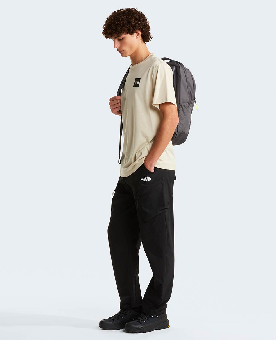 NORTH FACE CAMISETA NORTH FACE EVOLUTION BOX HALF DOME REG