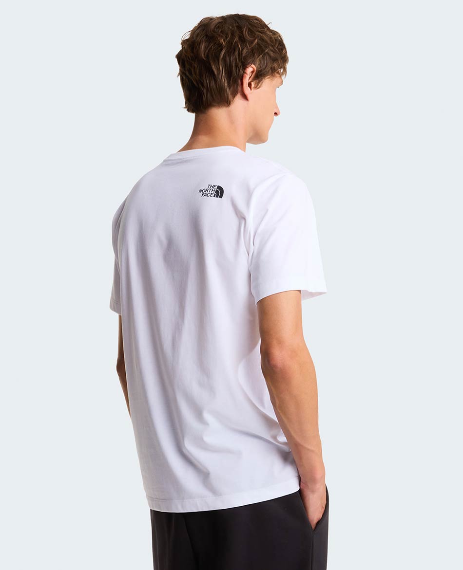 NORTH FACE CAMISETA NORTH FACE EVOLUTION BOX HALF DOME REG