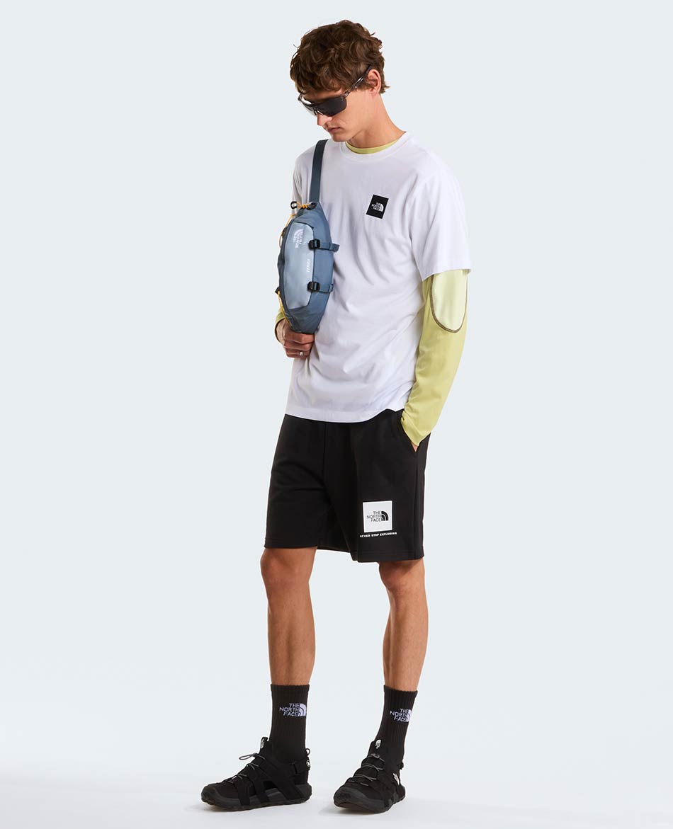 NORTH FACE CAMISETA NORTH FACE EVOLUTION BOX HALF DOME REG