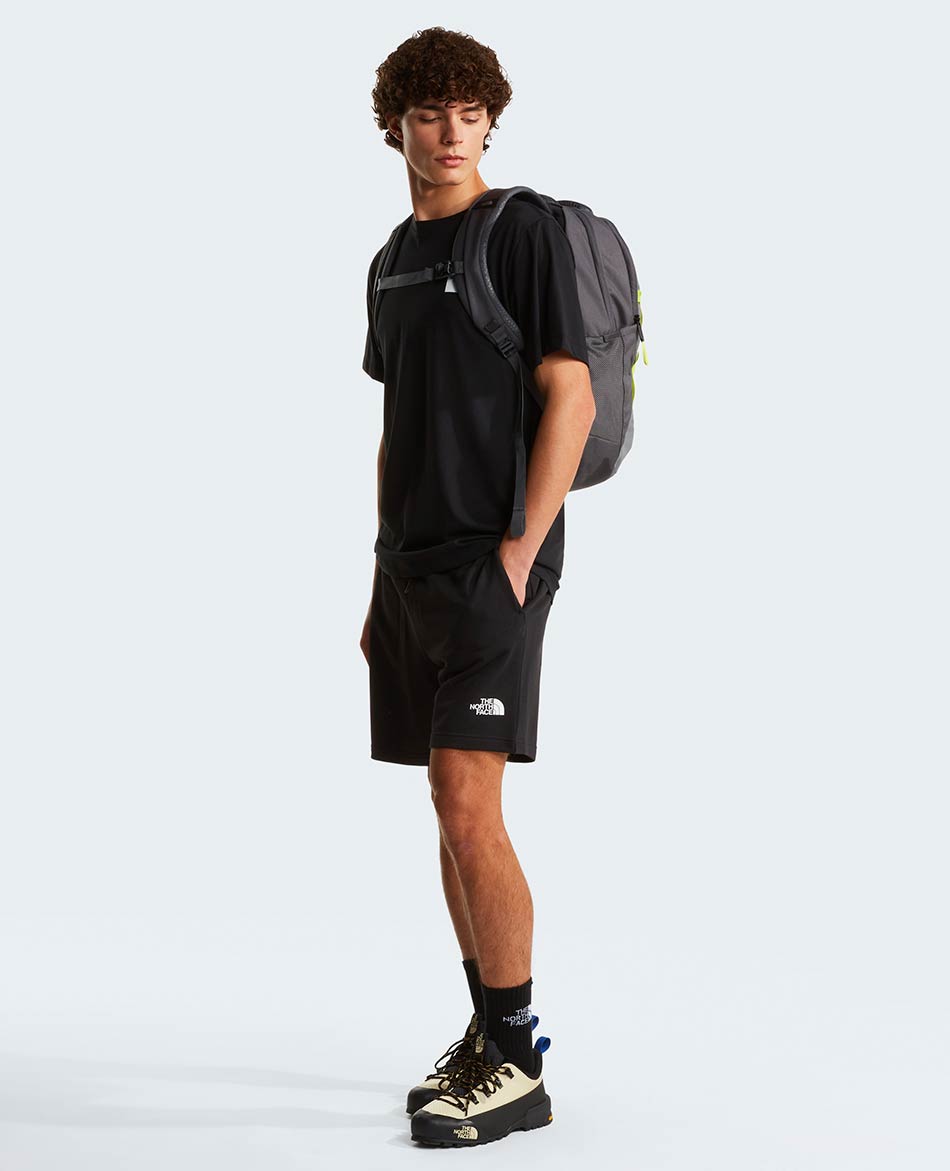 NORTH FACE CAMISETA NORTH FACE EVOLUTION BOX HALF DOME REG