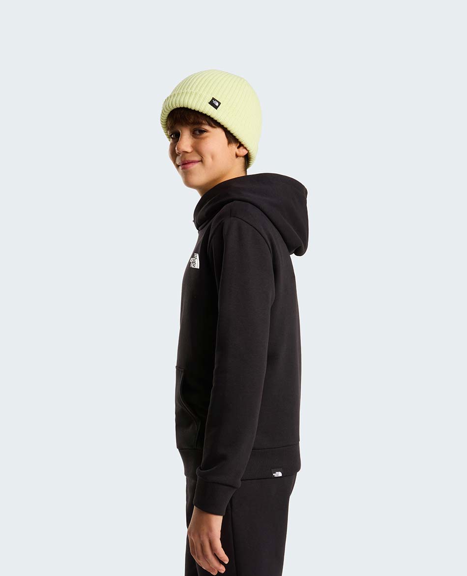 NORTH FACE FELPA N FACE SIMPLE DOME LIGHT REG. HO. JR