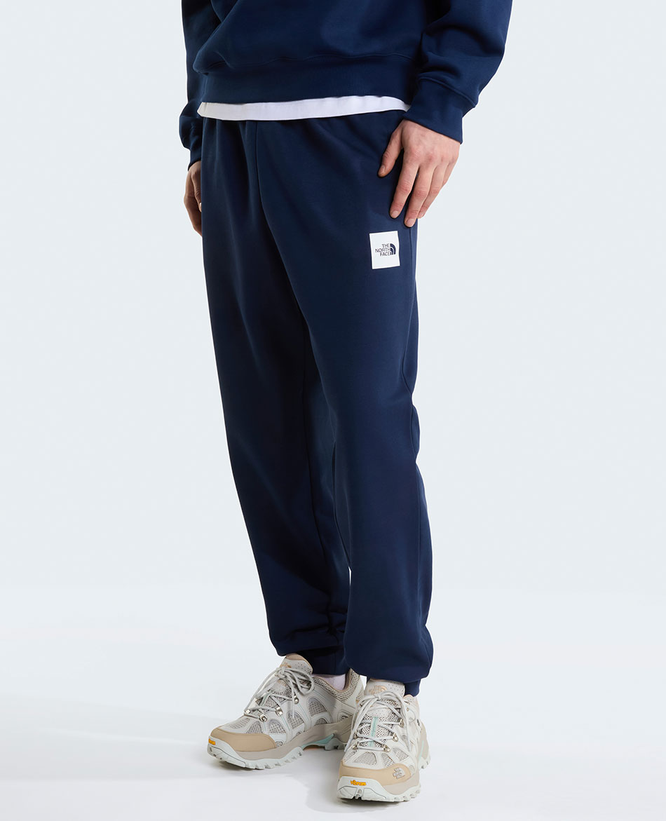 NORTH FACE PANTALON NORTH FACE EVO BOX HALF DOME TAPPERED