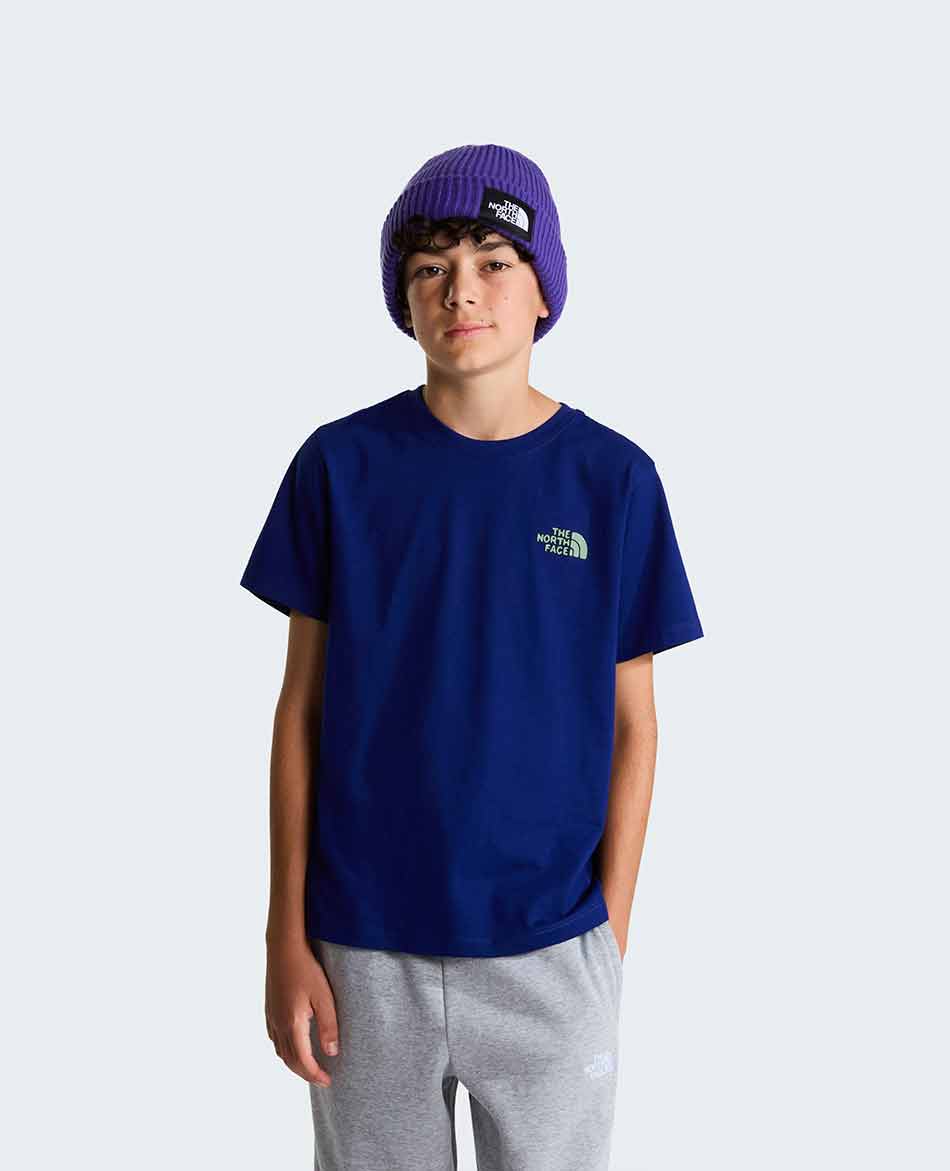 NORTH FACE CAMISETA NORTH FACE OUTDOOR REGULAR