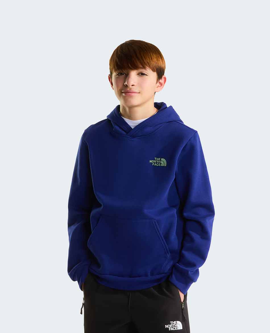 NORTH FACE FELPA NORTH FACE OUTDOOR REGULAR HOODIE