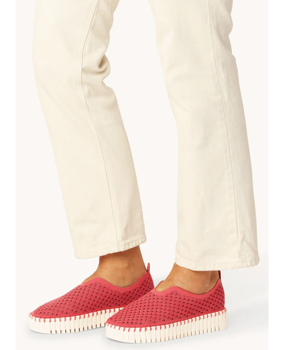 ILSE JACOBSEN ZAPATILLAS ILSE JACOBSEN TULIP 3373