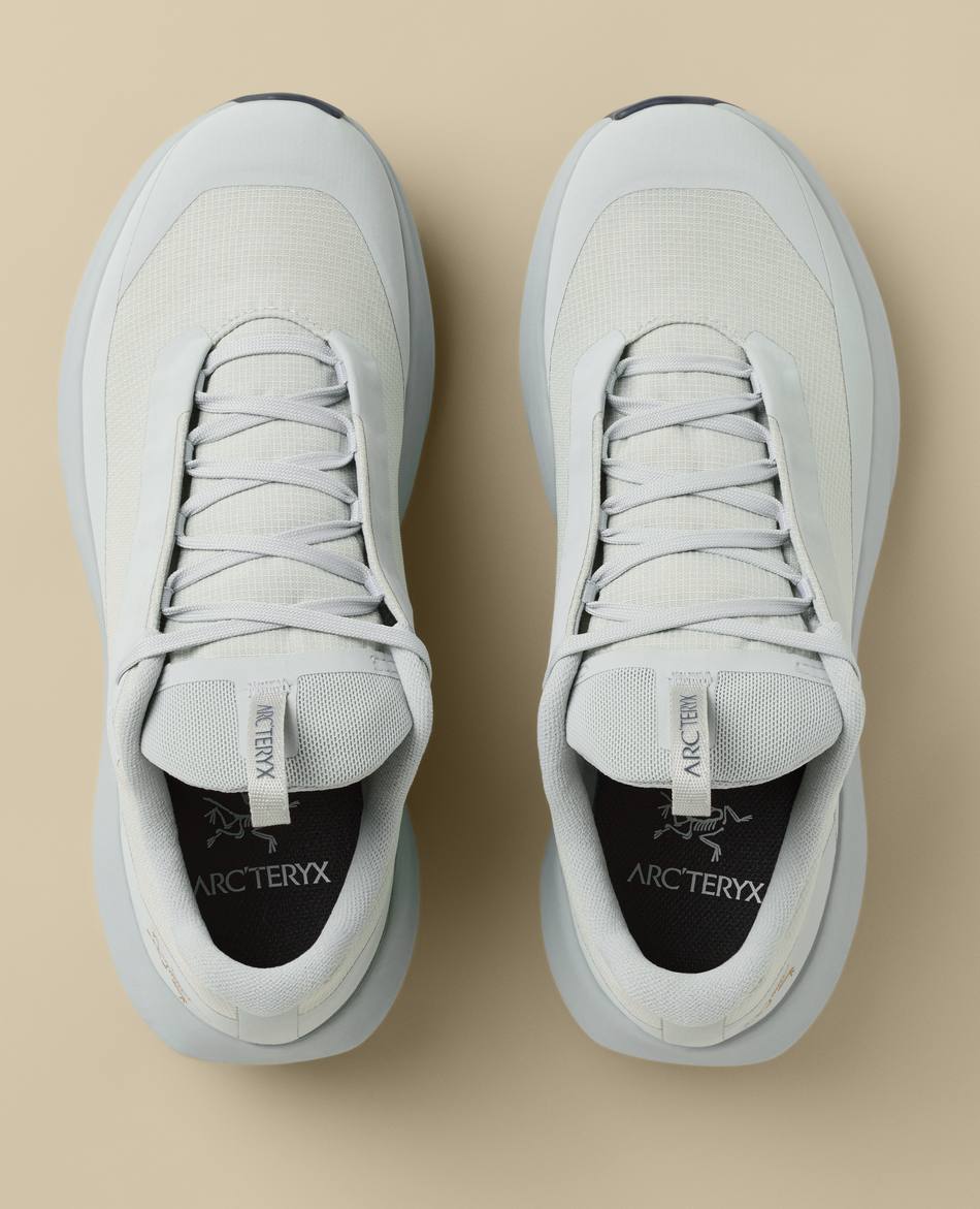 ARCTERYX ZAPATILLAS ARCTERYX NORVAN LD 4 GTX